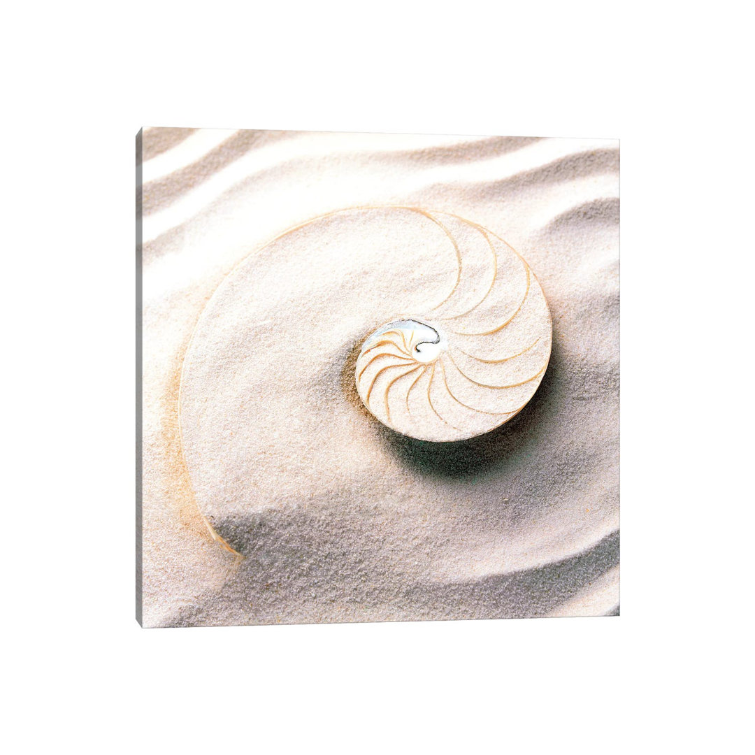 Shell Spiraling Into Wavy Sand Pattern PIM15738