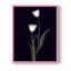 Tulipe Pose II, reproduction encadrée - bois massif-1615033407-1615033409
