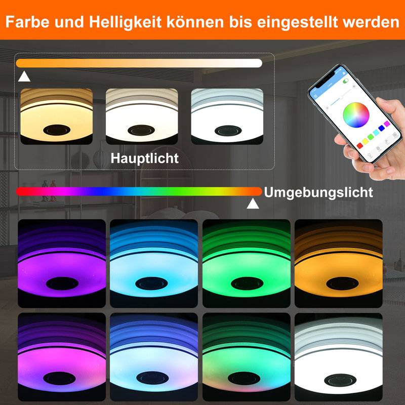 Ceiling light