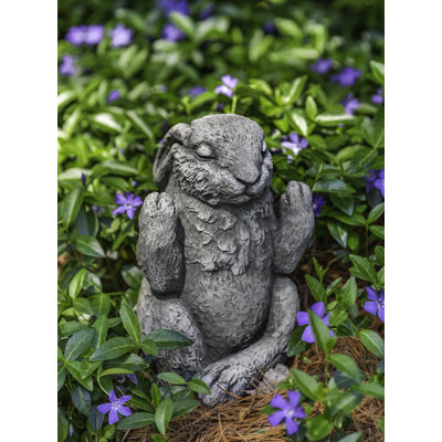 Lapin méditation