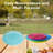 Luanna 10" Reusable Dinner Plate
