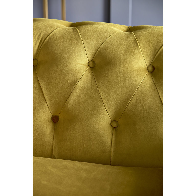 Aaron 2 - Piece Velvet Sofa Set, Mustard