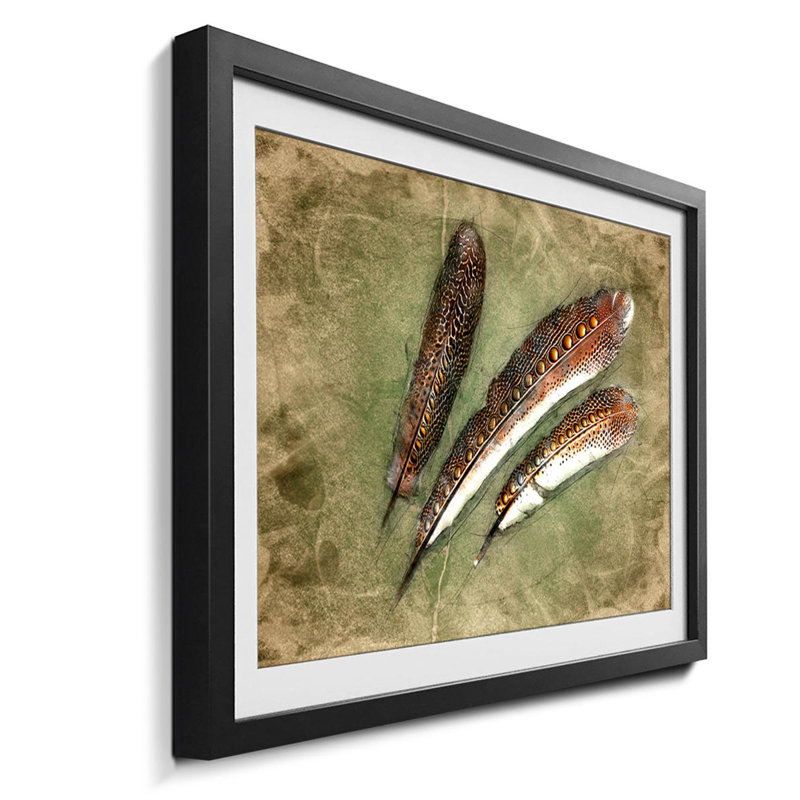 Streetart Feather Of Pheasan - Single Picture Frame Print, 44cm H x 64cm W x 2.2cm D