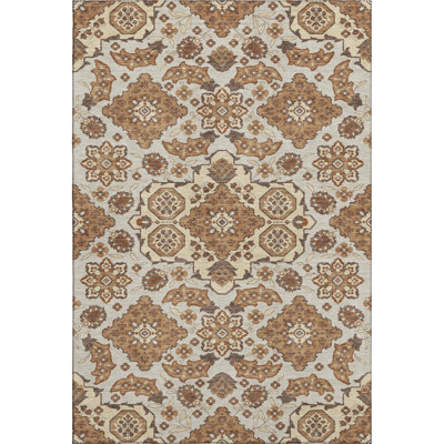 Premium Machine Washable Mayfield AMF1853 Global Rug