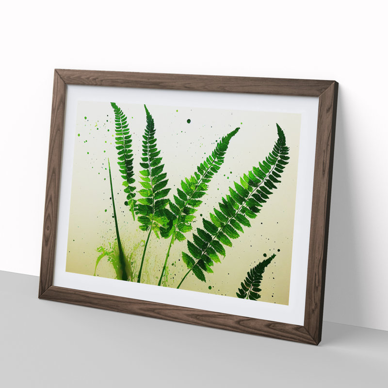 Fern Leaf Splash Vol.3 1 Piece Single Picture Frame Painting, 25cm H x 34cm W x 2cm D, Walnut Framed