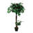 Tradala 120cm Ficus Tree in Planter