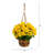 Geranium Hanging Basket UV Resistant