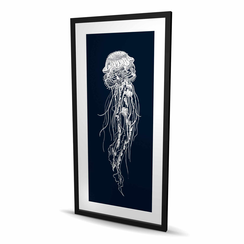 Illustration détaillée d'une méduse - reproduction encadrée avec passepoil bleu