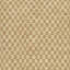 Wool Checkered Indoor Rug-636813401