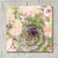 «Succulents 08» par Lightbox Journal-823826735