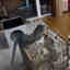 Customer photo 2 of 3