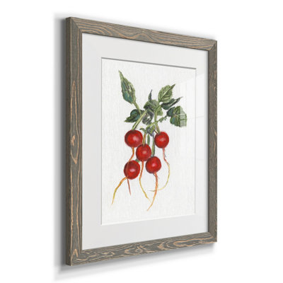 " Garden Fresh Radishes "