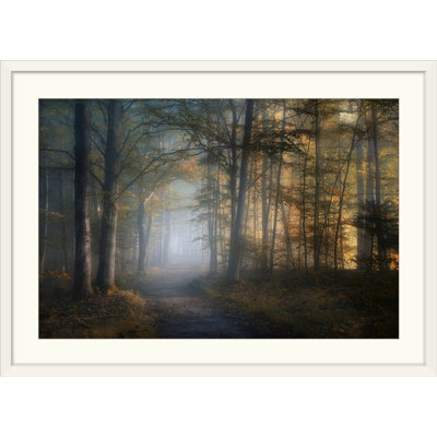 «Straub Autumn Symphony» par Norbert Maier - photographie