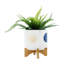 Jardinière S / 2 5/8 po Funky