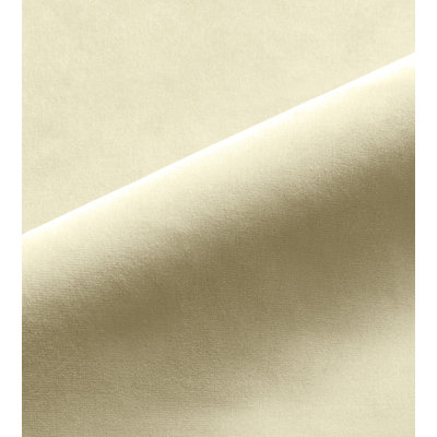 Essential 100% Cotton Fabric