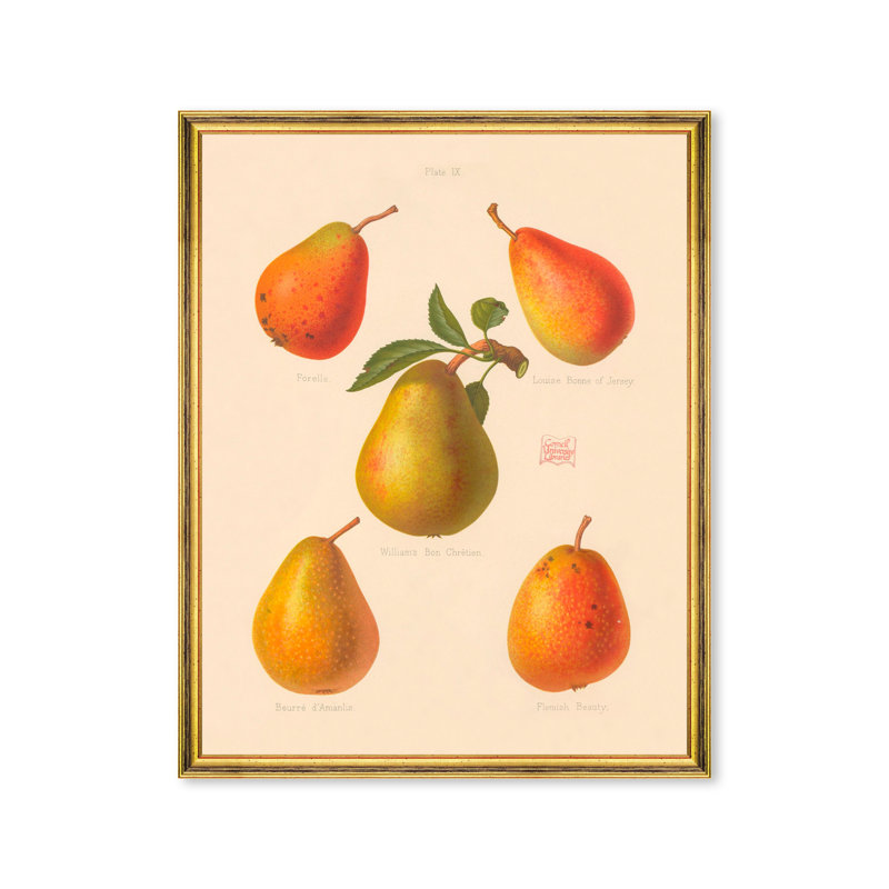 Fruits
