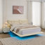 Cadre de lit blanc grand avec lumières DEL, lit flottant rembourré, conception à boutons. Couvre les pieds, commande à distance pour une chambre à coucher tranquille, structure stable et plateforme en cuir PU à utilisation silencieuse-264077893