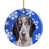 Bluetick Coonhound