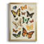 «Collection Flutter I», impression sur papier-667481543-667481542