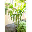 Hampson Ceramic Hanging Planter