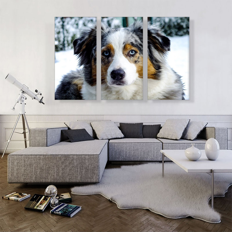 «Australian Shepard Dog», ensemble de 3 reproductions de photos sur toiles tendues, H 40 po x l 60 po x P 0,75 po