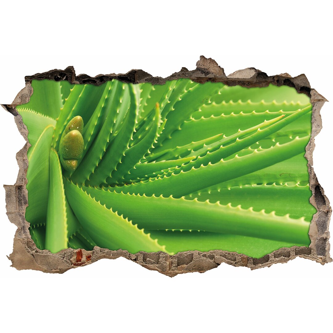 Wandtattoo Aloeverapflanze