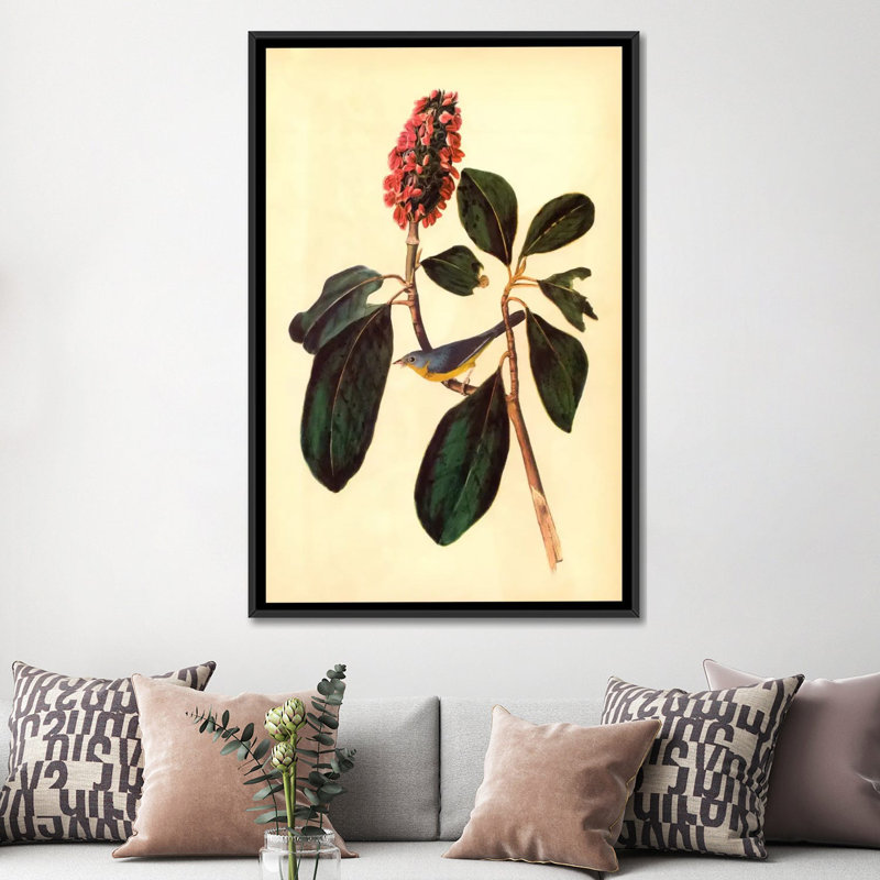 «Warbler» par John James Audubon, reproduction d'art sur toile tendue, H 26 po x l 18 po x P 1,5 po, Toile avec cadre noir