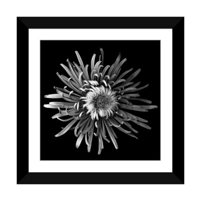 « mum special i, b&w » par magda indigo, reproduction d’art sur toile