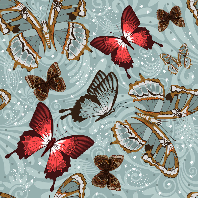 Butterflies by Pazhyna - Wrapped Canvas Print, 51cm H x 51cm W x 3.8cm D