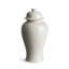 Ricki Ceramic Ginger Jar-1513130368-1488949449