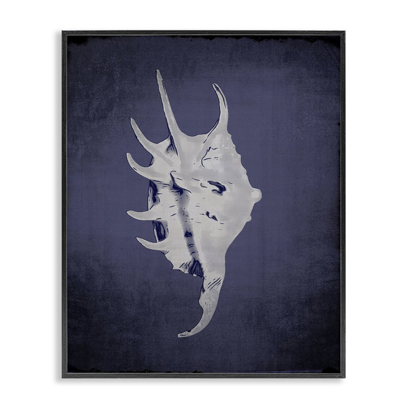  «Spider Conch on Indigo», estampe numérique par Graffi *ee Studios, H 14 po x l 11 po, Giclée encadrée noir minuit