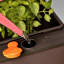Self-Watering Planter Box-75202262