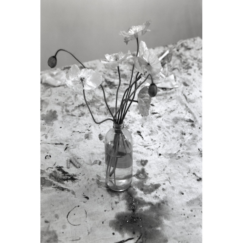 Taneha Bouquet Of Poppies by Tony Smith - Wrapped Canvas Photograph, 46 cm H x 30 cm W