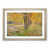 Oak Framed