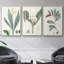 Ensemble de 3 pièces encadrées sur toile Soft Tropical IV-97706664-97706657