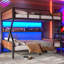 Lit superposé double au-dessus de double, lit superposé en métal avec tablettes de rangement et lumières-1526033056