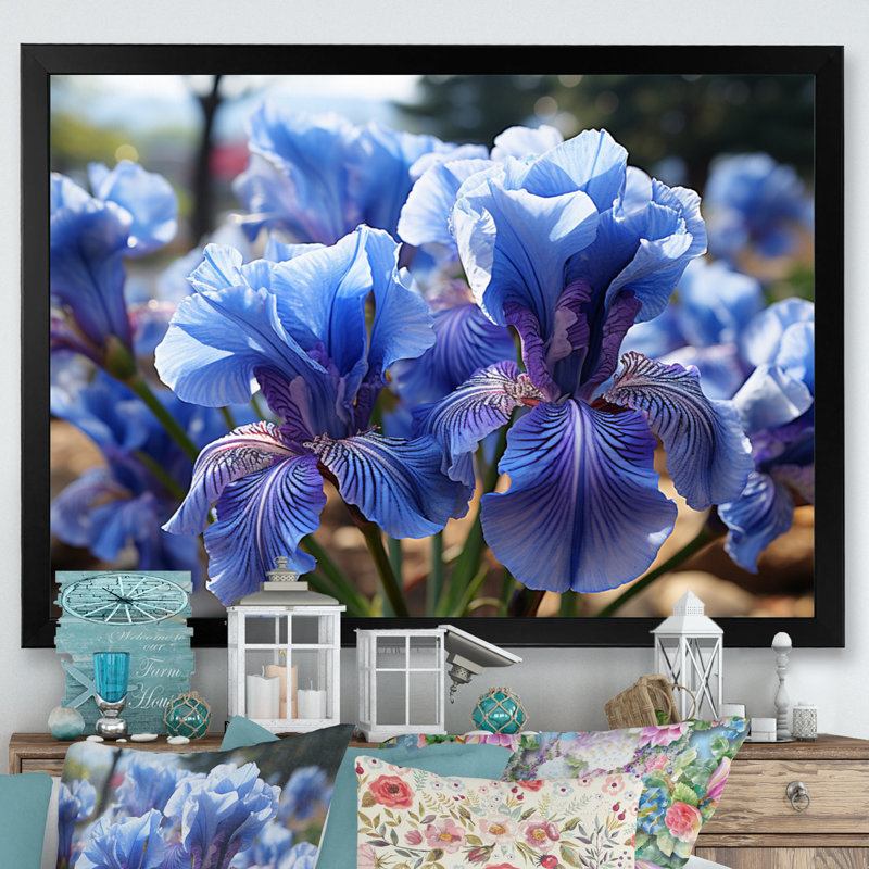 Blue Irises Field Vibrant, H 12 po x l 20 po x P 1 po, Cadre simple noir