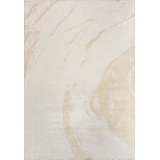 Modern Abstract Area Rug