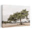 «Windswept Desert Pine Minimalist Peaceful Serene Pine Landscape Landscape», reproduction d'art murale-129896846