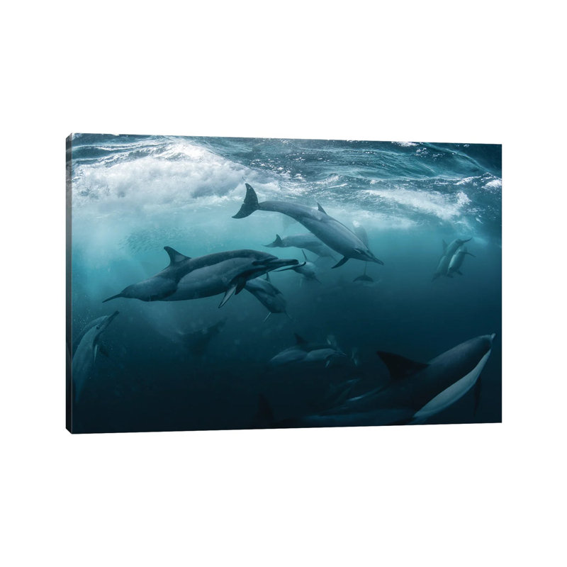Dolphine Run by Andrey Narchuk - Wrapped Canvas Print