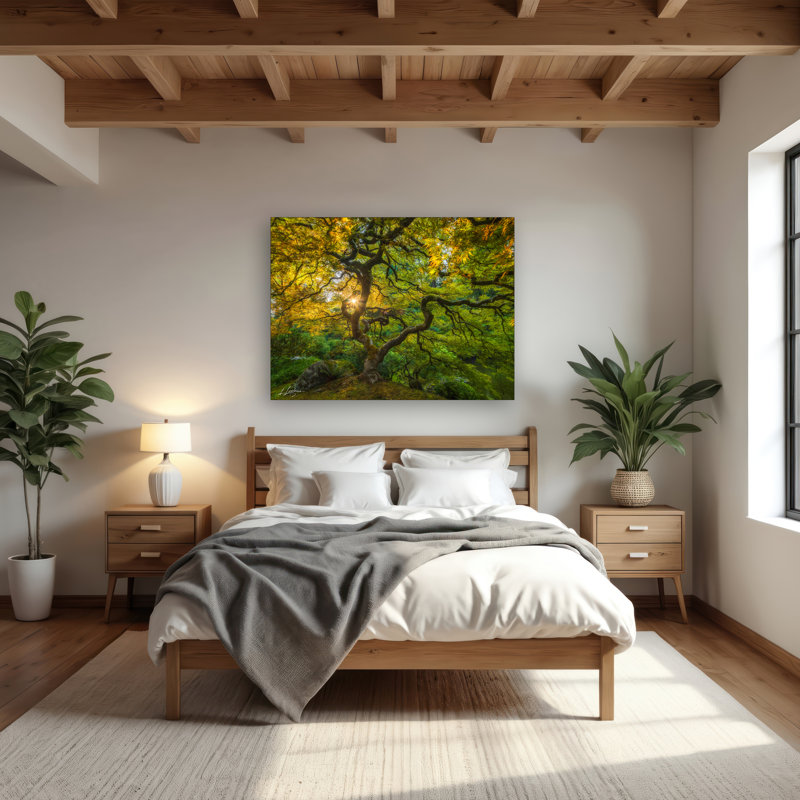 "Maples Embrace" par Lawrence Leyderman - Art mural acrylique 18 "x 24", H 18 po x l 24 po