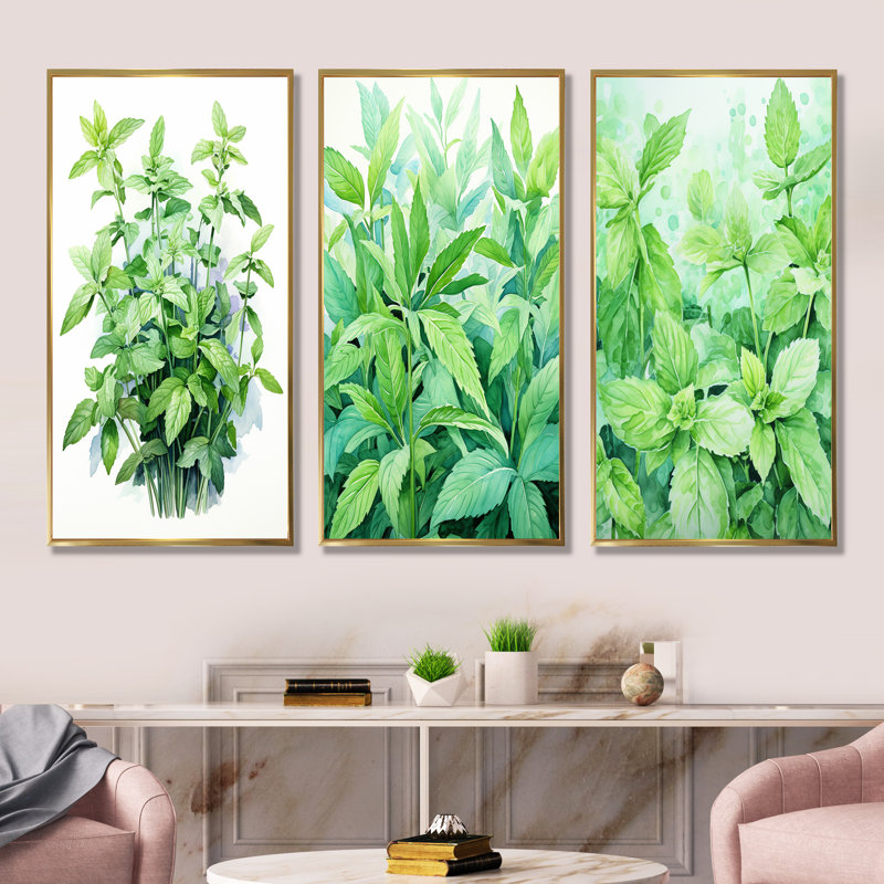 Ensemble de 3 décorations murales Herbes menthe fraîcheur I - Herbes, Cadre flottant doré, H 40 po x l 60 po