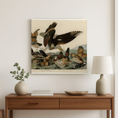 Virginian Perridge, Planche LXXVI (1827) — Tableau mural carré en métal