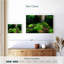 Harnek Forest Moss-108822419