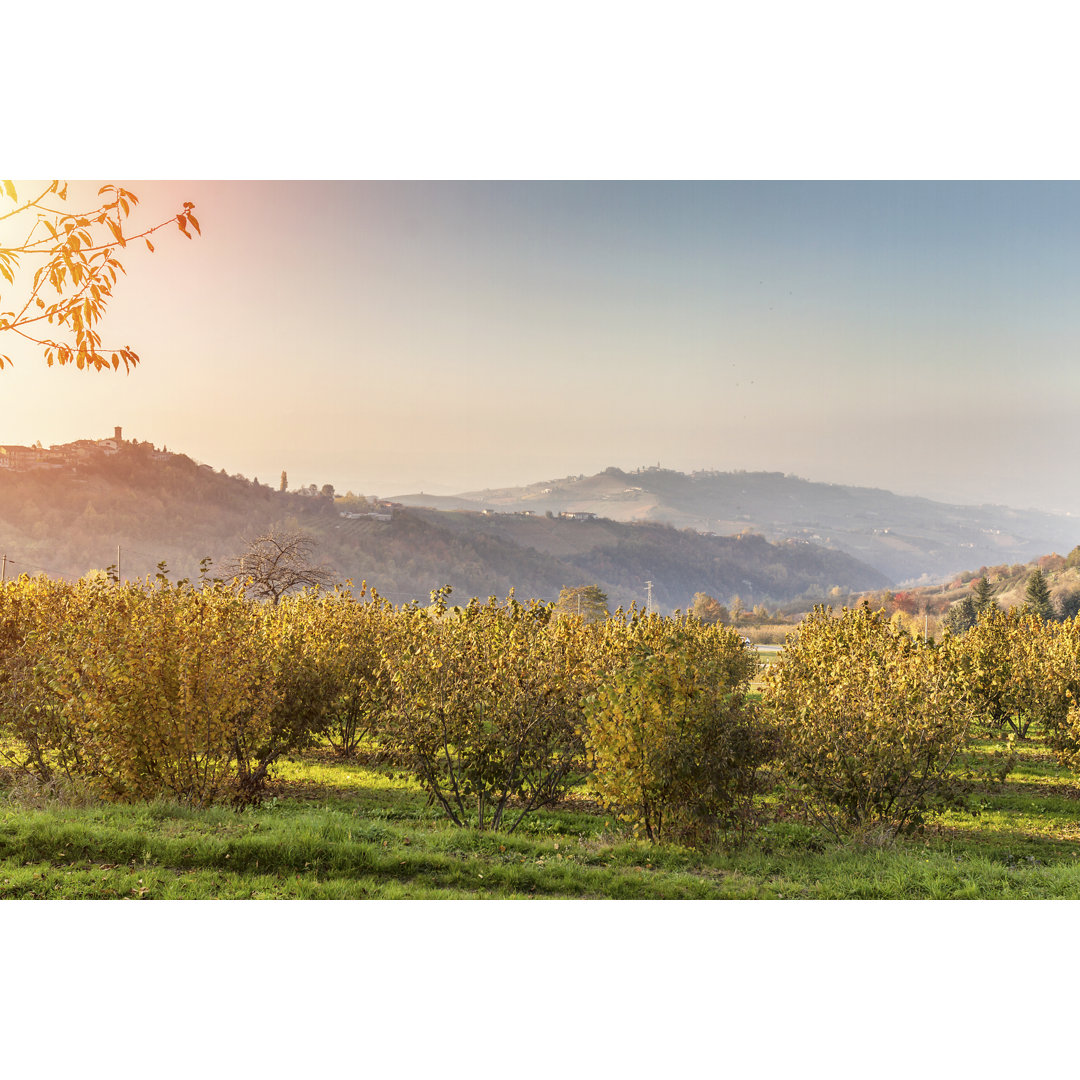 Autumn In Piedmont von Pjphoto69 - Leinwanddrucke