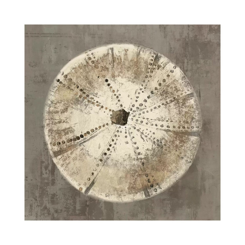 Sand Dollar I by Aimee Wilson - Wrapped Canvas Print, 30.48 cm H x 30.48 cm W