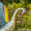 Crossman Bird Metal Garden Statue