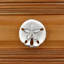 1 1/2" Sand Dollar Small Knob-128036966-128036965-39948843