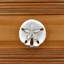 Petit bouton Sand Dollar (ensemble de 2)-39948843-128036965-128036966