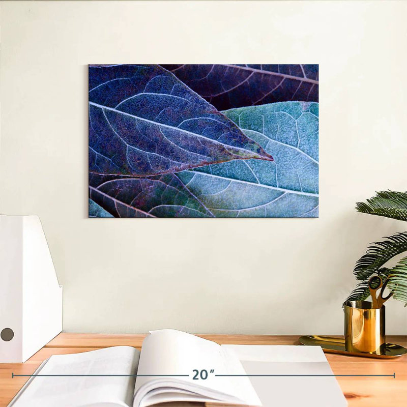 Harnek Frosty Leaves, H 8 po x l 12 po